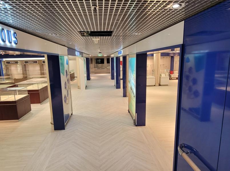 Nieuw Amsterdam cruise ship1